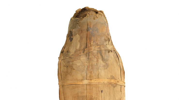 Close-up of mummy of Chantress of Amun, Nefer-Mut.
