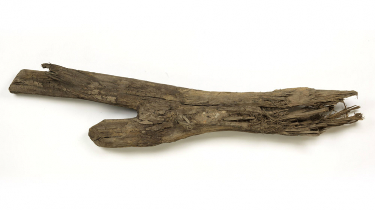 Piece of forked wood.