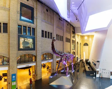 A artificial dinosaur fossil is displayed indoors, surrounded by people walking and engaging with the space.