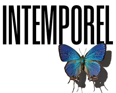 Immortal with a butterfly in front of the text.