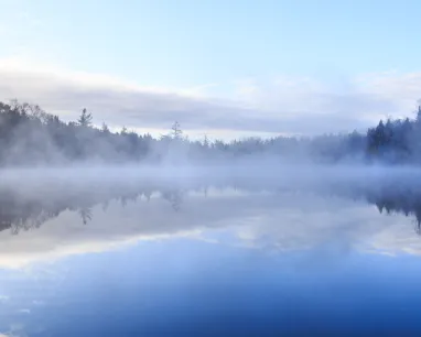 A calm lake at sunrise with a layer of mist floating above the water, reflecting the sky and surrounding tree line under soft blue and cloudy light.