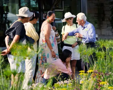 A group of five people closely observing plants in a sunny garden setting.