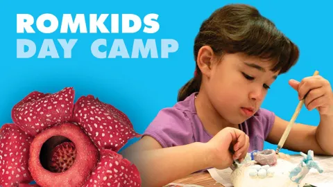 Camp de jour ROMKids
