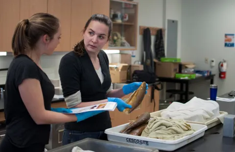 Deux femmes examinent un poisson lors d'un atelier d'identification.
