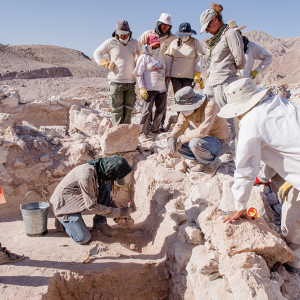 Group of archaeologists watch person uncovering an artifact.