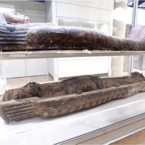 Mummy of Antjau, c. 664–600 BCE, ROM 910.12.C.