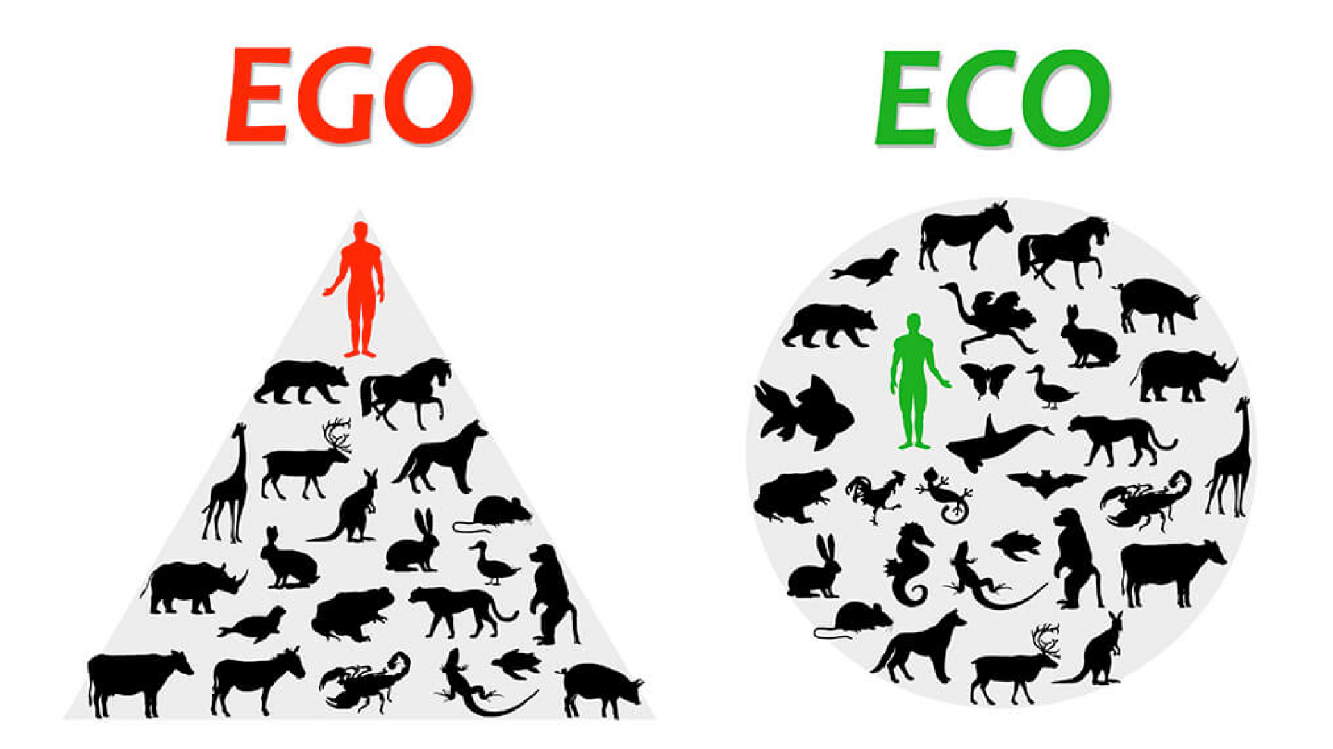 Ego vs eco chart.