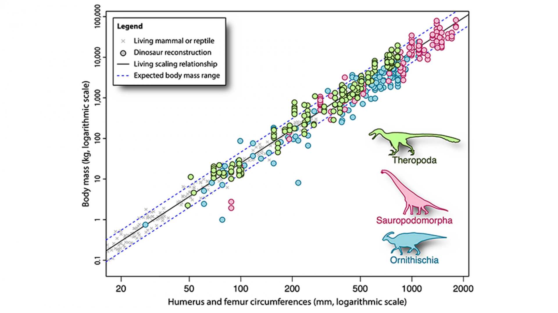 Dinosaur life reconstruction masses projected onto the limb circumference to body mass scaling relationship of living mammals and reptiles.