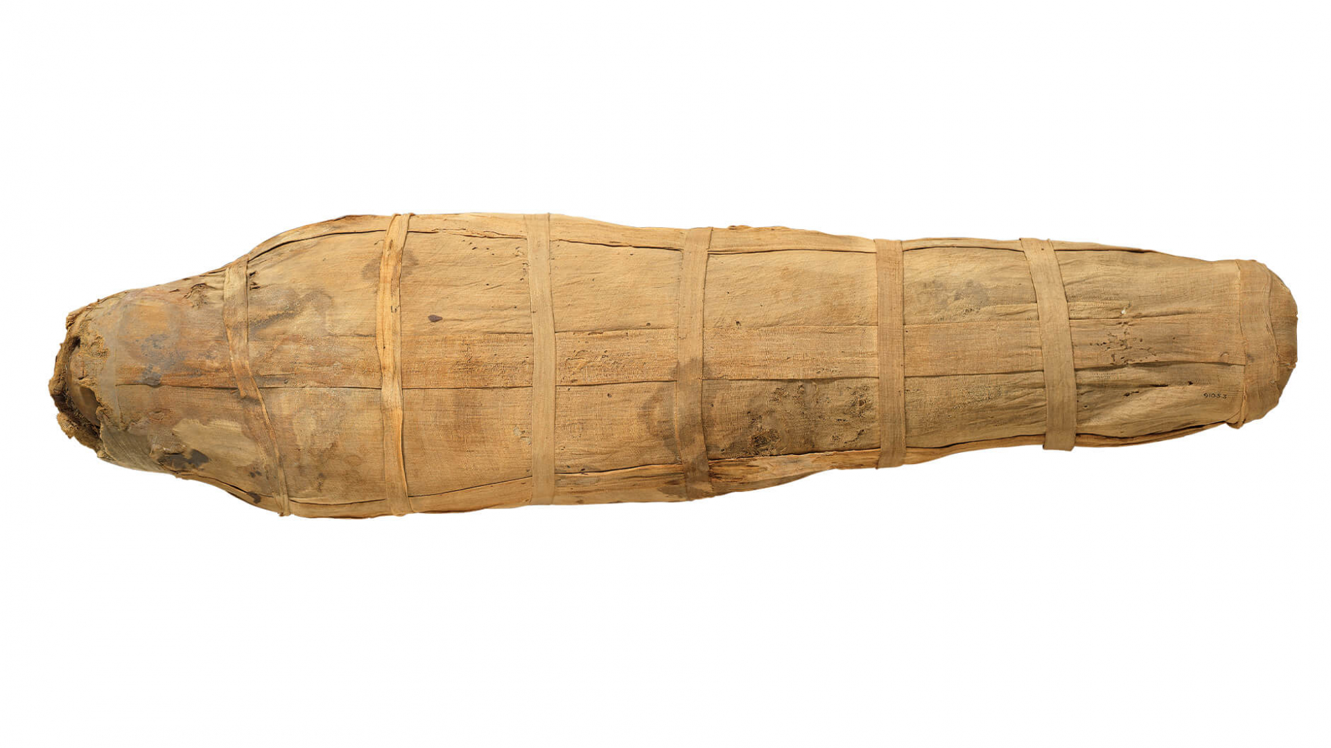 Mummy of Chantress of Amun, Nefer-Mut.