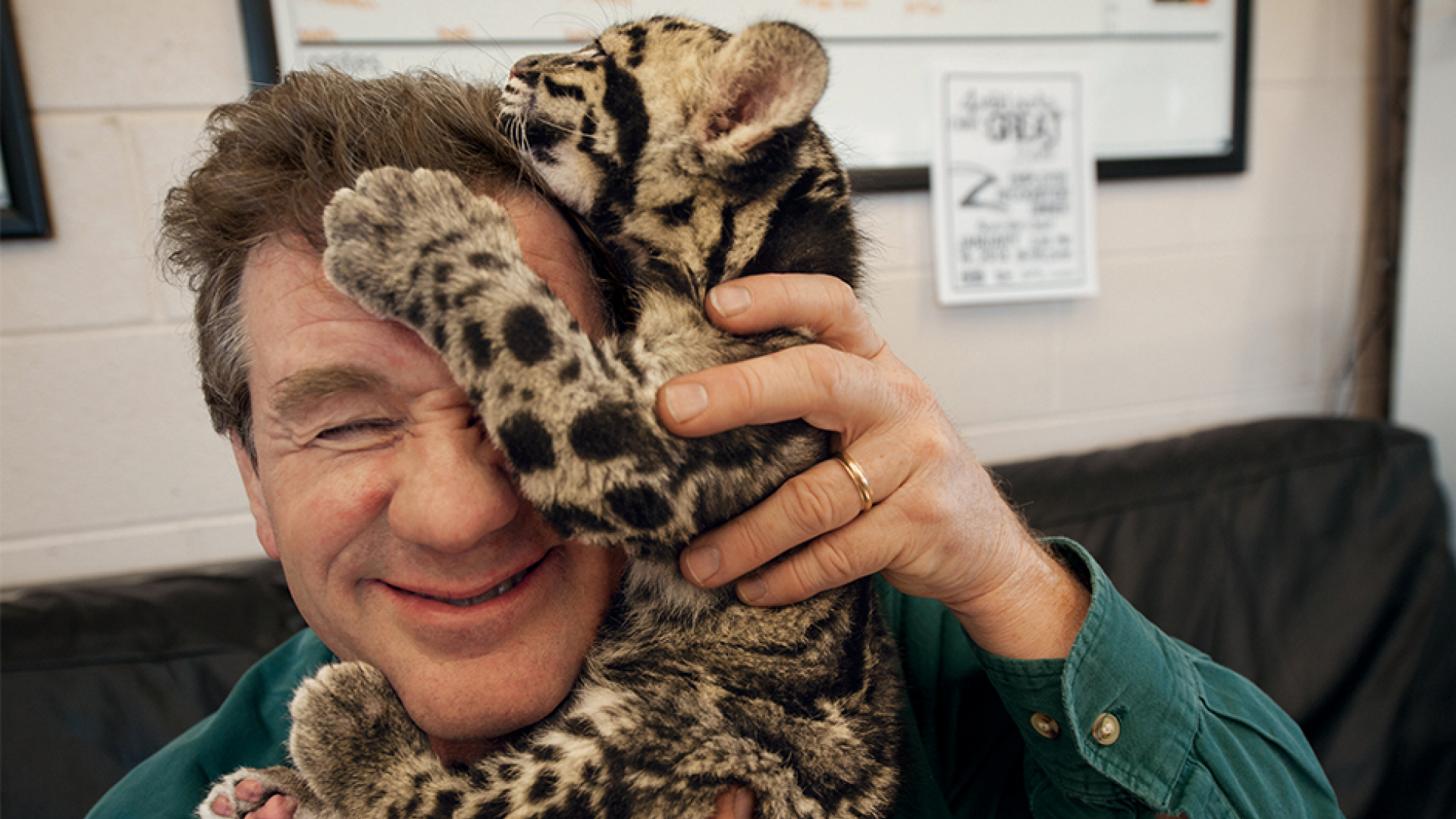 Man with a leopard cub climbing on his head.