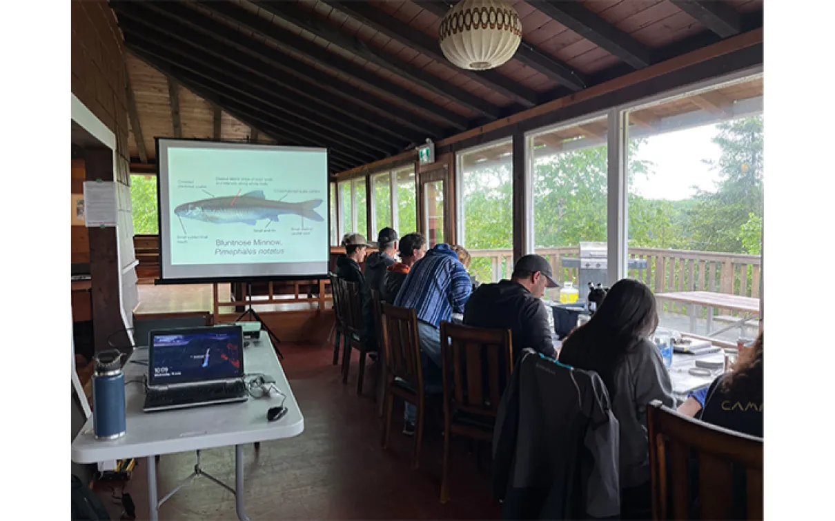 Screen projection of fish with people sitting at table doing work