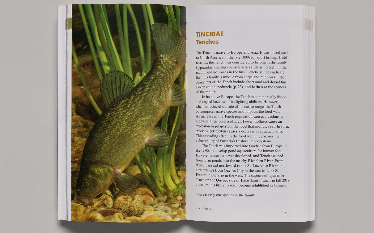 Freshwater fishes of Ontario is the definitive guide to Ontario freshwater fishes.