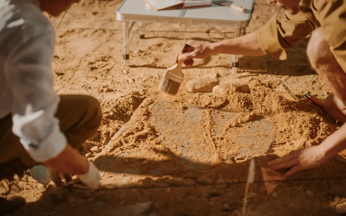 Dig site