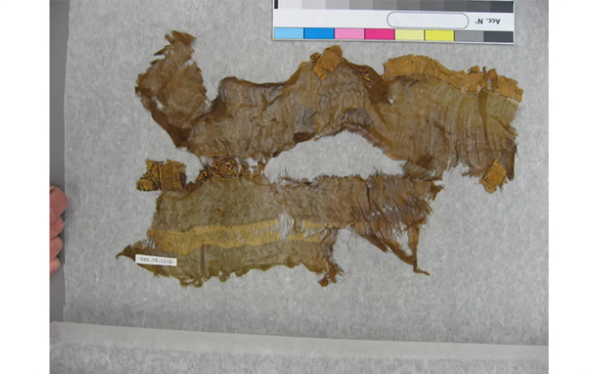 Fragment de textile de Tiraz (qasab). Égypte. Dynastie fatimide. Milieu du XIe siècle. Tabby de lin vaporeux avec tapisserie en soie et feuille d'or. 980.78.111.A Collection Wilkinson, don d'Albert et Federico Friedberg. Certifié par la Commission canadienne d'examen des exportations de biens culturels en vertu de la Loi sur l'exportation et l'importation de biens culturels.