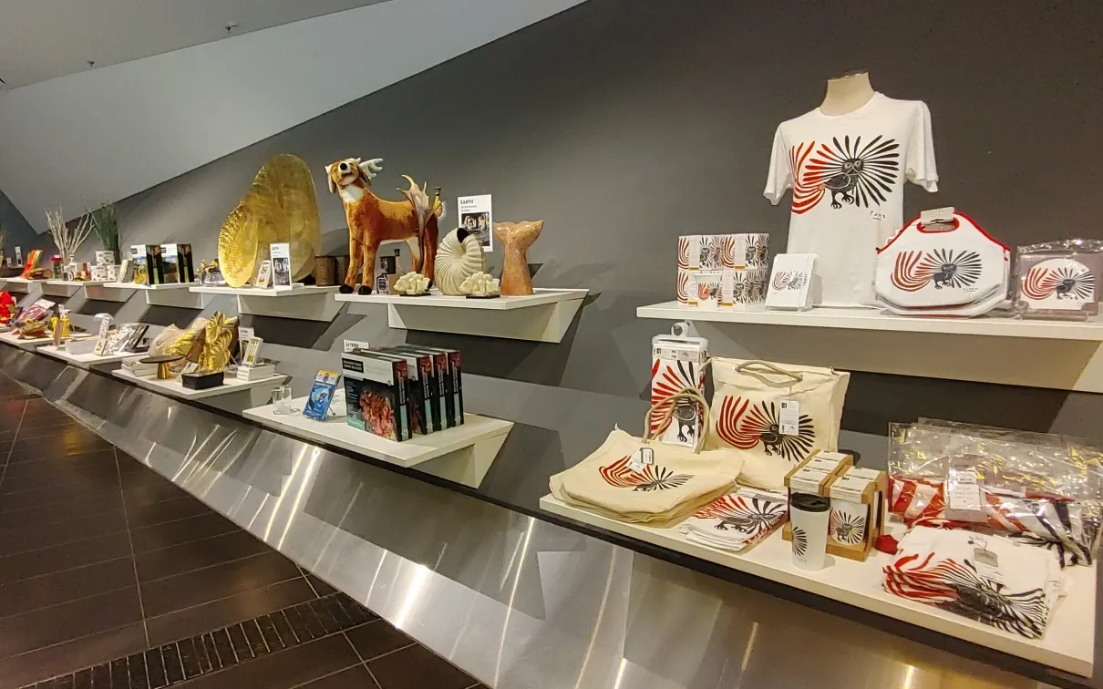 A store display wall showing assorted items including t-shirts, stuffies, homewares, and sculptures. 