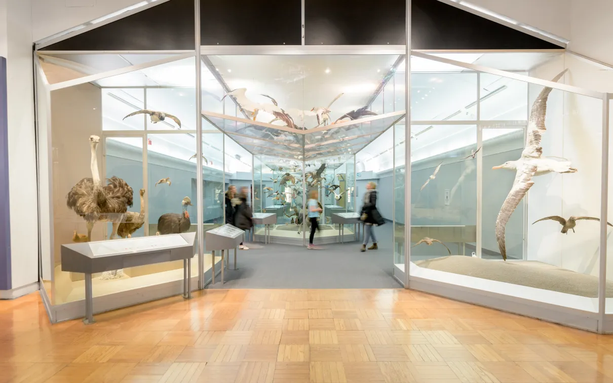 Des personnes se déplacent dans une galerie entourée d'oiseaux suspendus en plein vol.