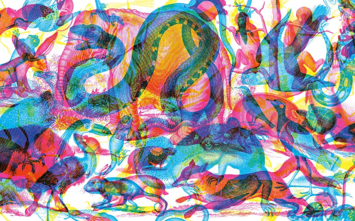 Illustration using red, green, and blue overlapping animal shapes