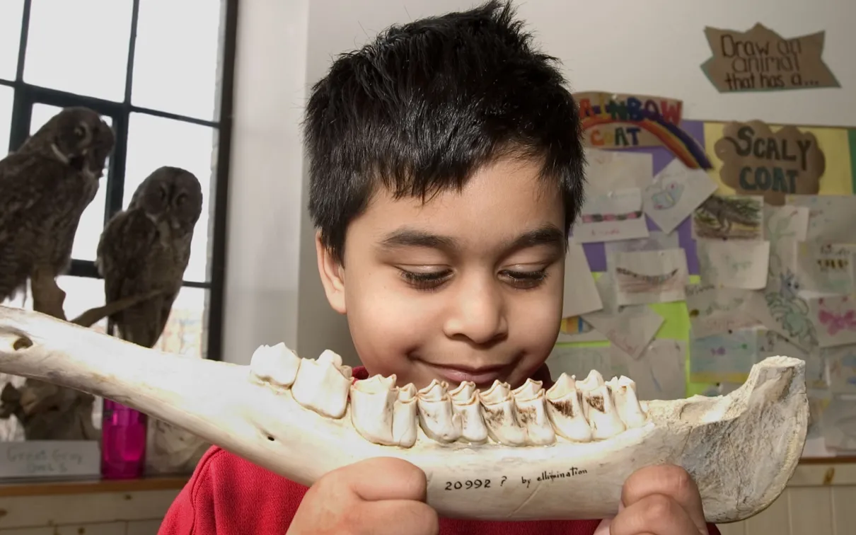 Kid with jawbone