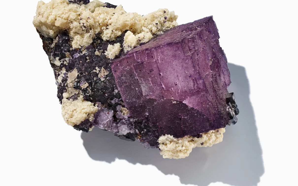 Gem in ROM exhibition