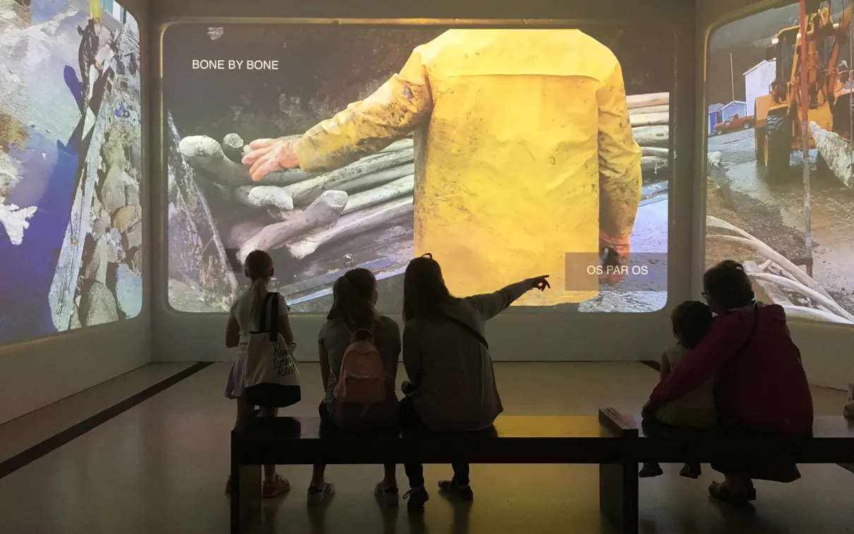 Visitors sitting on a bench watching a video projection of people excavating bones.