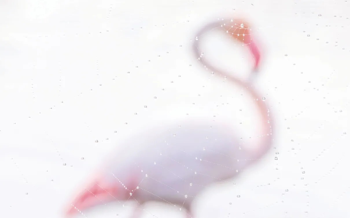 A photo of a flamingo behind dew 