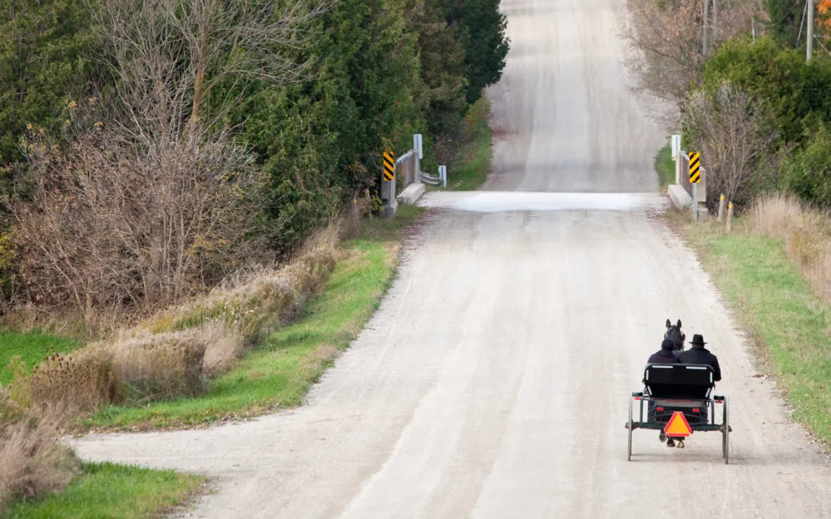 Mennonite Horse and Buggy