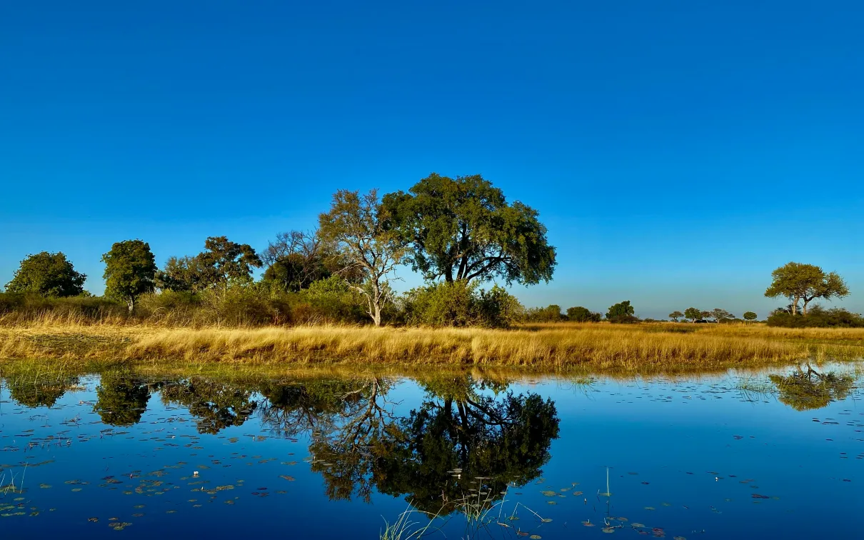 Morning at Okavango Delta, Botswana. © Maria Baltazzi, 2021.