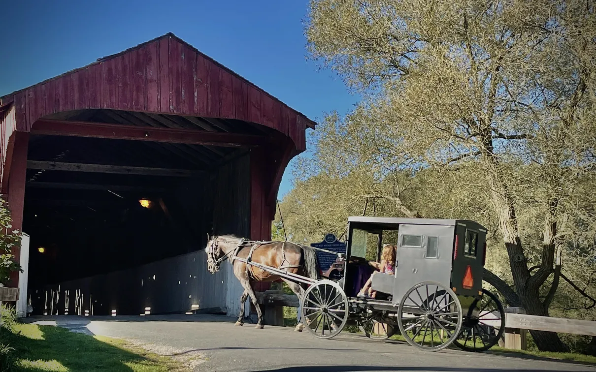 Horse and buggy entering Kissing Bridge 