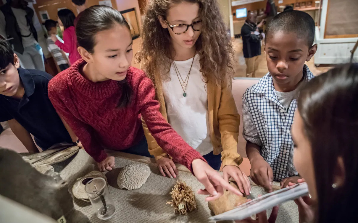 Students interacting with a collection item at ROM