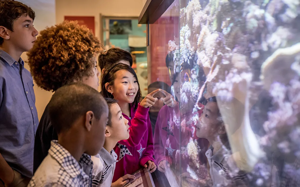 A group of children observes an aquarium display, captivated by the vibrant fish swimming among the coral.