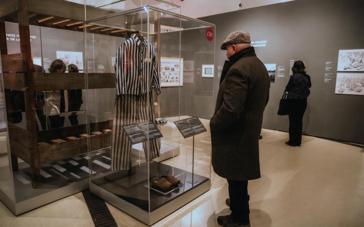 A visitor in the exhibition at ROM looks in at a display case.