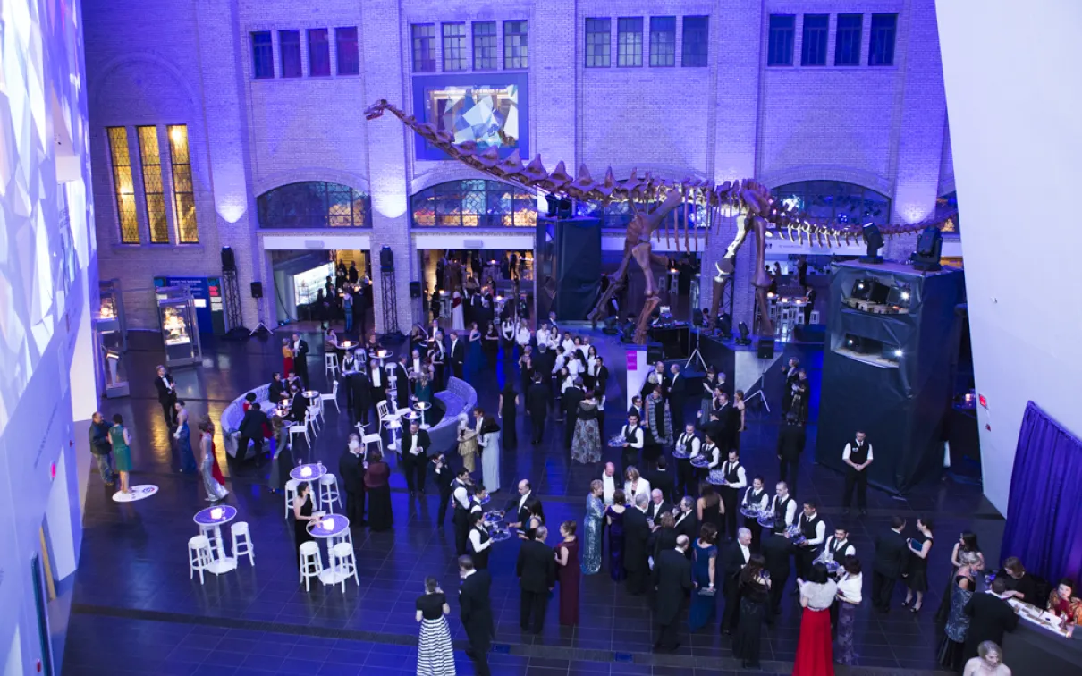 Overhead of Hyacinth Gloria Chen Crystal Court, Royal Ontario Museum.