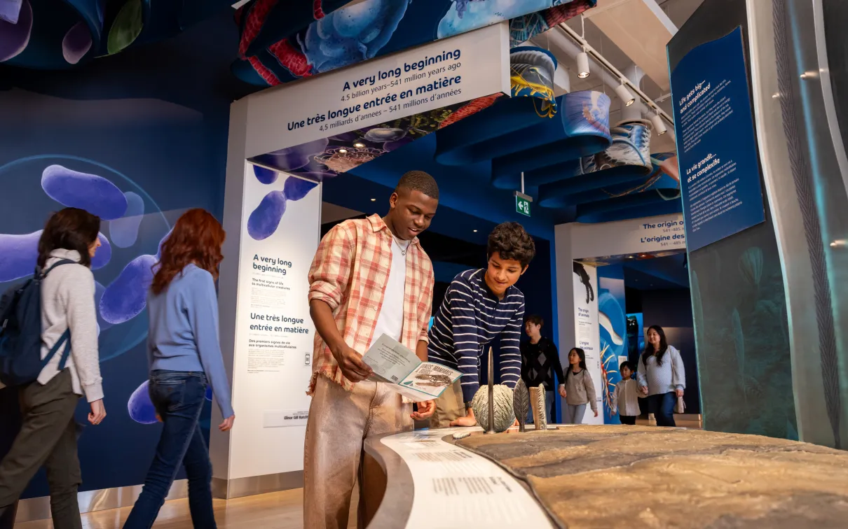 Two teenagers examine a display of ancient life