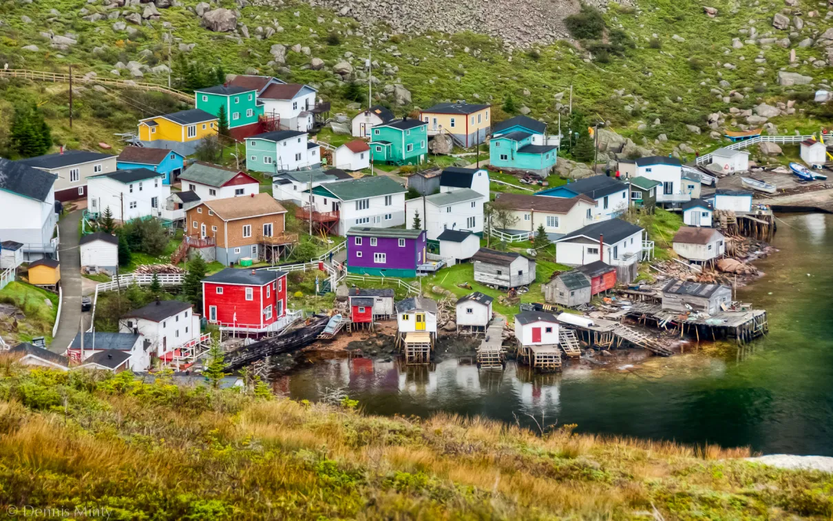 A group of colourful houses on a hill on the seacoast.