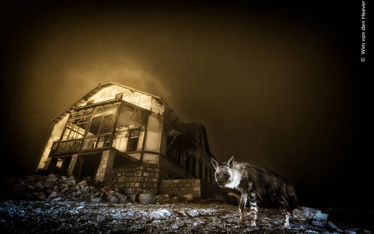Ghost Town Visitor by South Africa’s Wim van den Heever