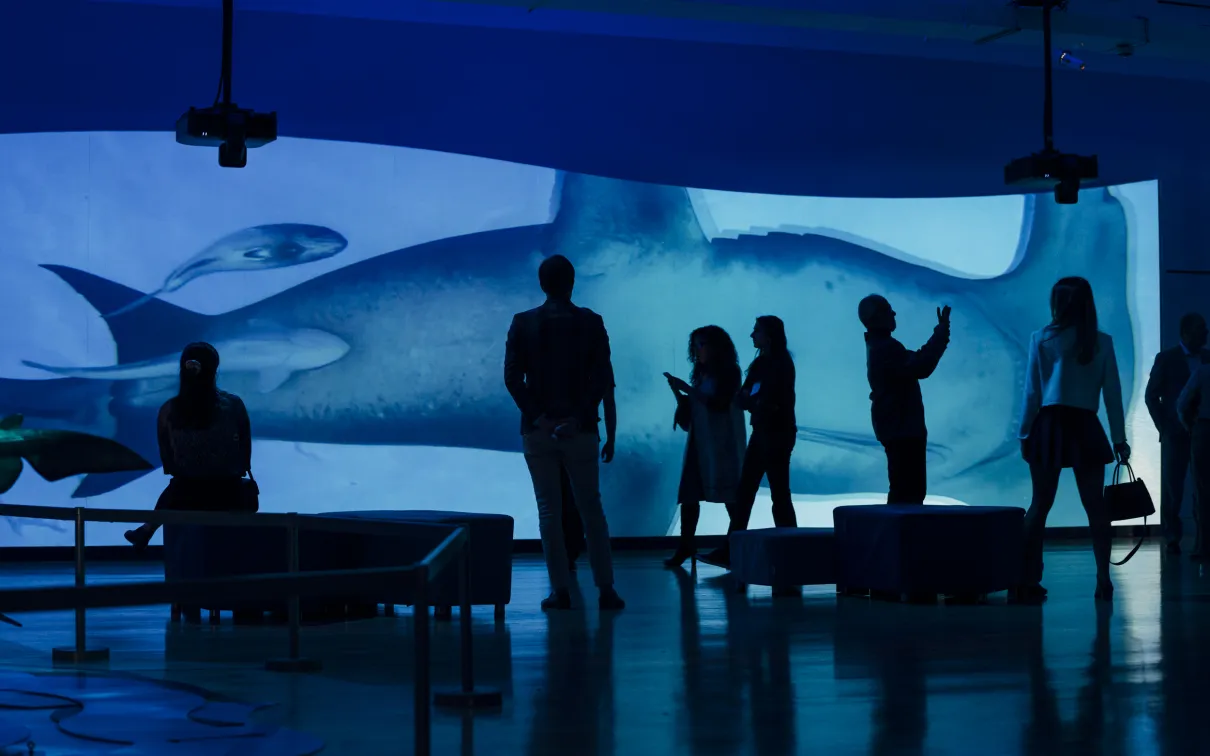 image of visitors in-gallery looking at a digital screen projection of a shark