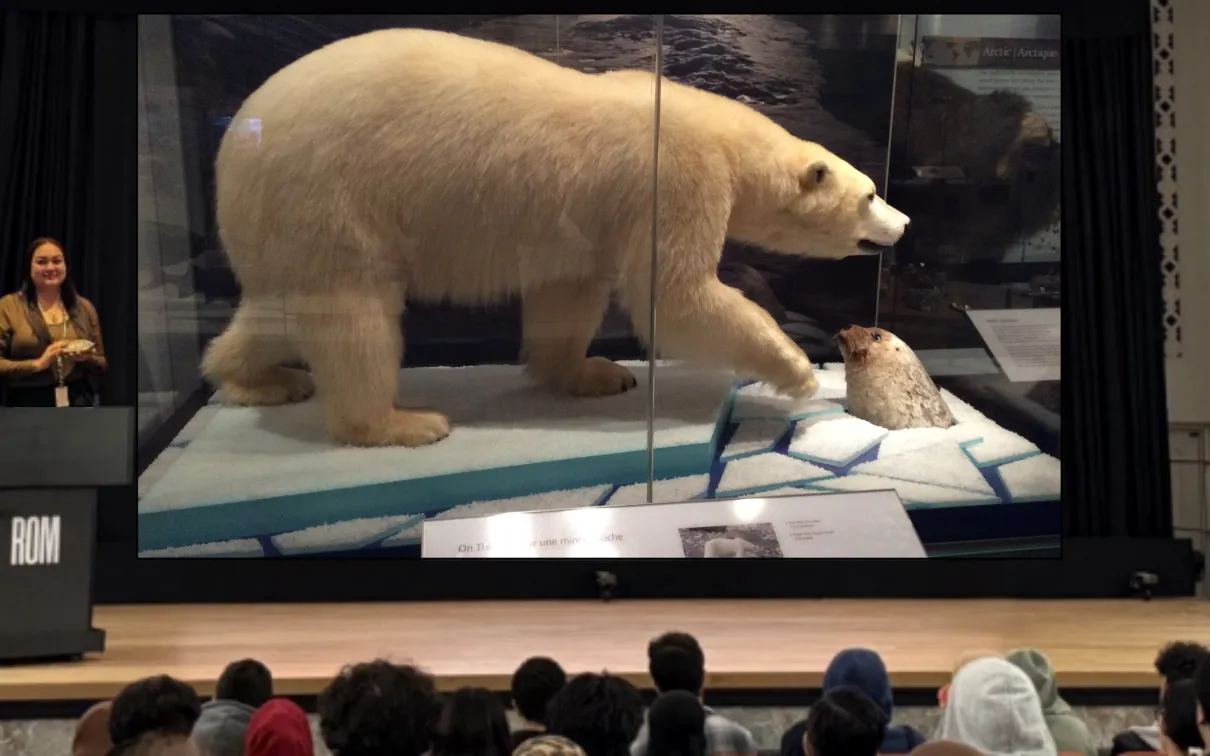 A smiling Indigenous woman stands on a stage in front of an audience, behind a podium labelled ROM. A screen next to her displays an image of a display case showing a polar bear standing on ice next to a hole, through which a seal pokes its head.