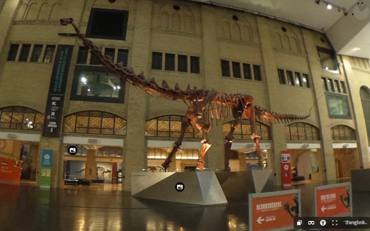 A large long-necked dinosaur stands in the lobby of the Royal Ontario Museum.