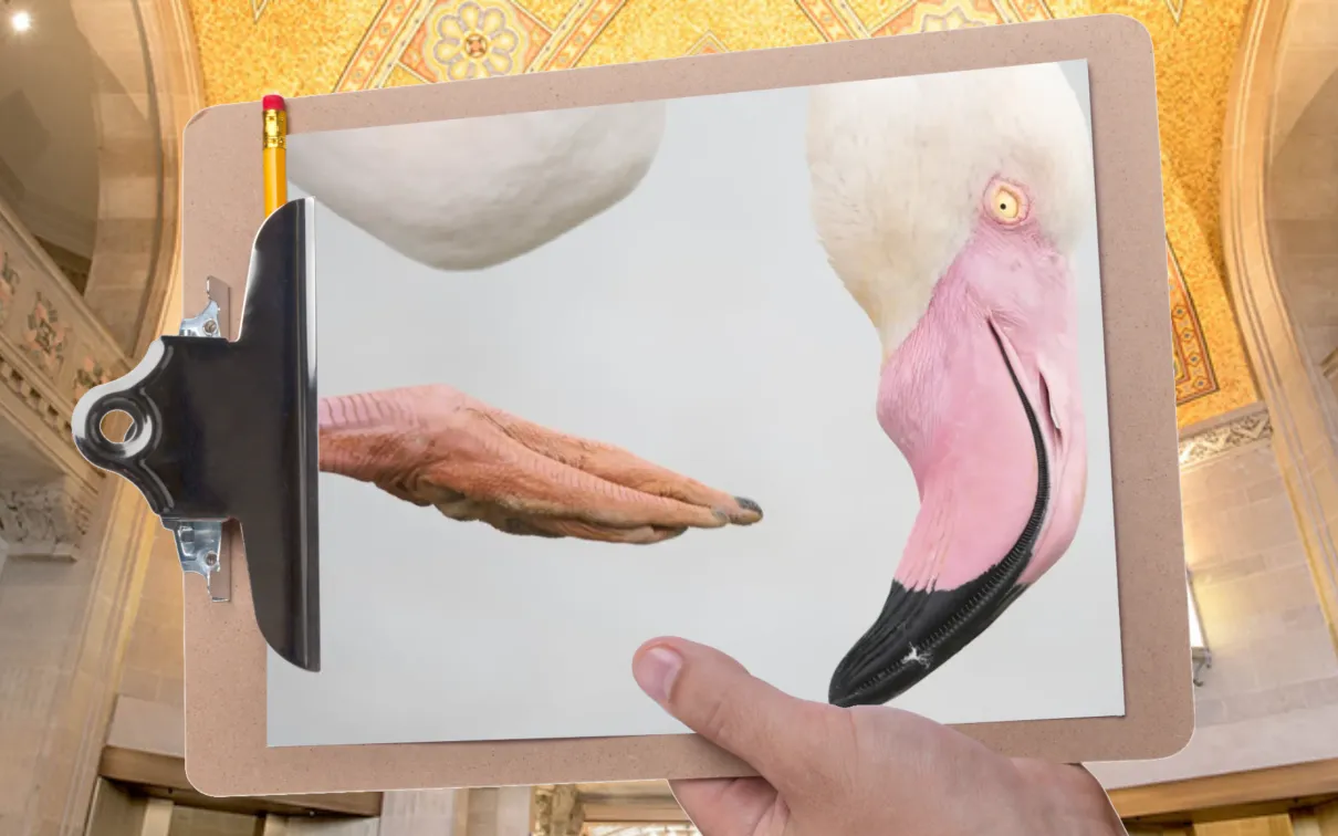 A hand holds a clipboard in front of a gallery with a mosaic ceiling. The clipboard is holding a picture of a flamingo’s head against a white background.