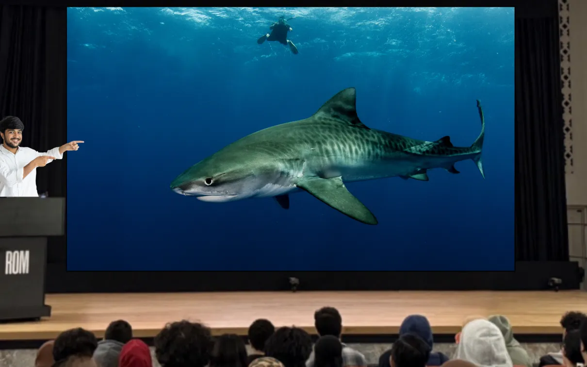 A man standing on stage in front of an audience points at a screen. On the screen, a large shark swims near the surface of the water. A diver is swimming in the background.