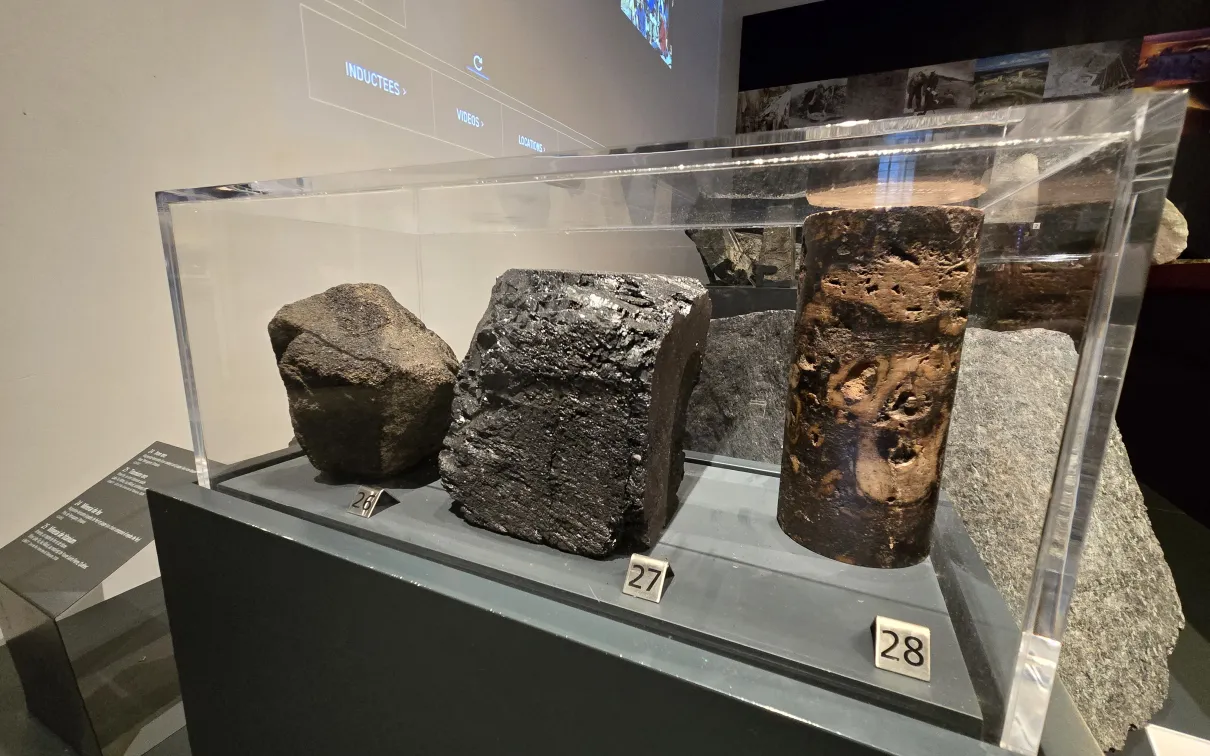 A case in a museum gallery holds three rocks. One is dull brown/black and rounded, one is black and shiny, and one has brown tones with lighter patches against darker rock.