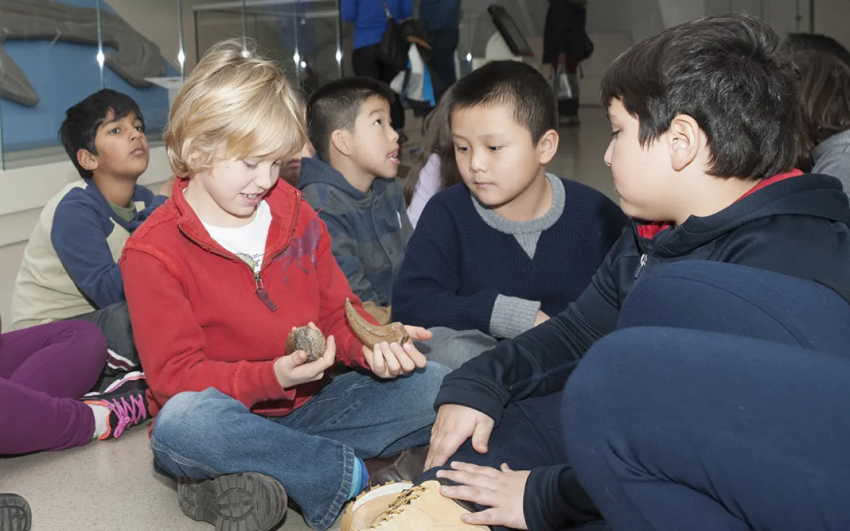 Several young students in a diverse class touching dinosaur fossils.