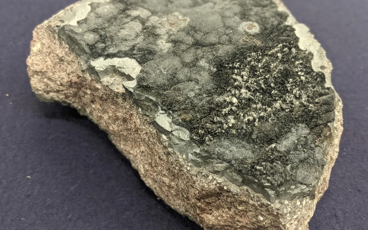 Dark fuzzy-looking mineral on top of beige and grey rock.