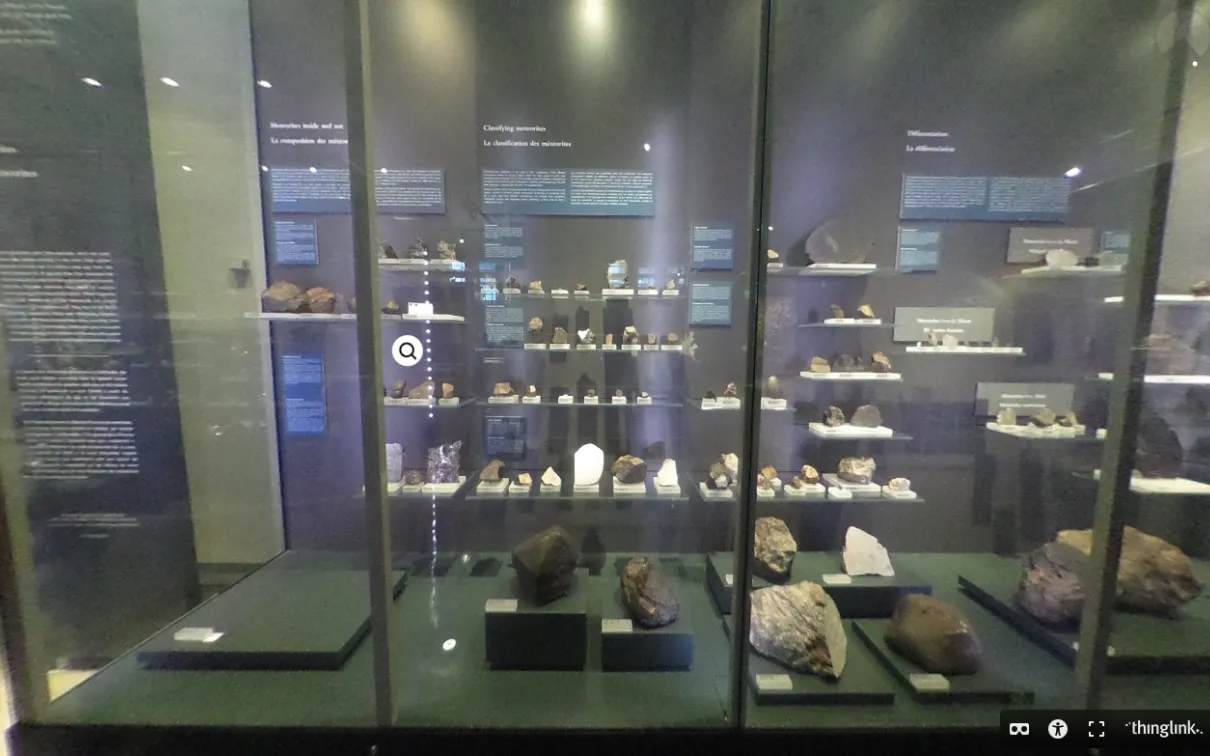 A museum display case containing meteorites of various sizes. Their colour ranges from light gray to black.