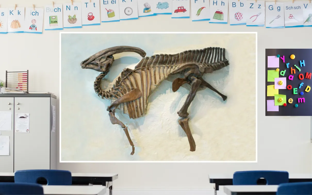 A screen in a colourful classroom shows a dark brown skeleton of a parasaurolophus, a duck-billed dinosaur with a crested skull, on a beige background.