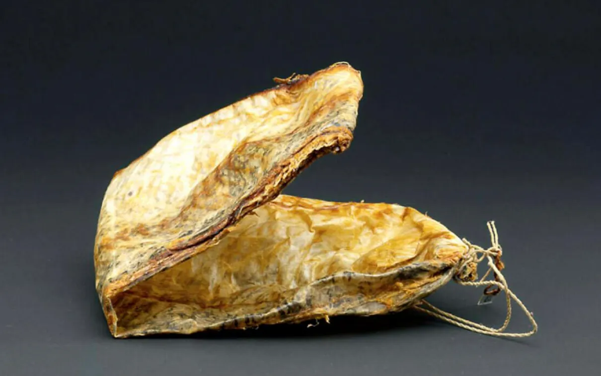 A crumpled bag with a drawstring and visible scales