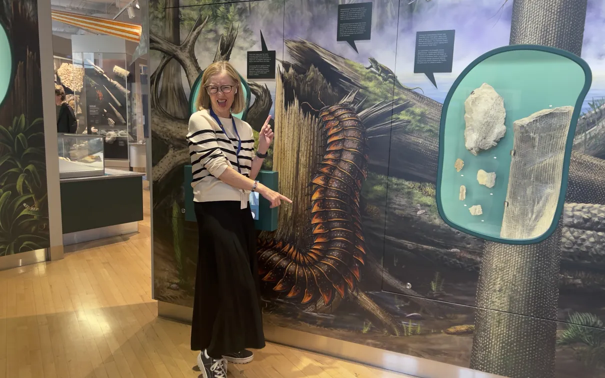 For almost 60 years, the dedicated volunteer Museum Docents and Guides Du ROM have brought the collections and exhibitions to life through engaging, expert-led tours. These passionate volunteers offer free tours in both English and French, sharing their deep knowledge of art, culture, and natural history with visitors of all ages. Together, they help make ROM accessible and inspiring for everyone.