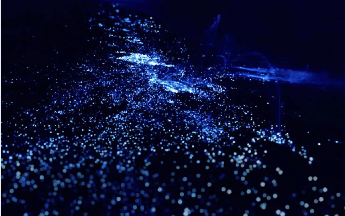 Illuminated Plankton 