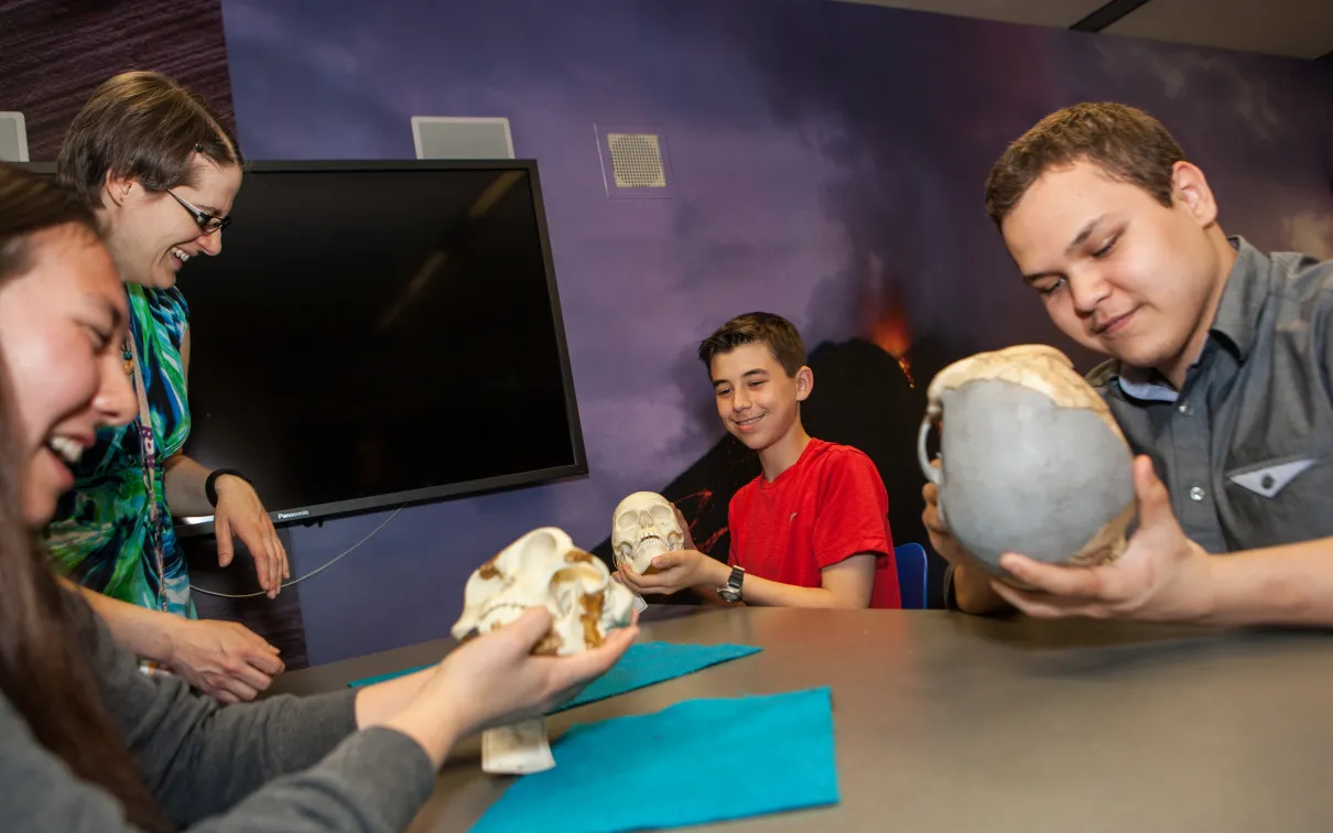 Three diverse smiling students hold replica early human skulls while talking to an educator.