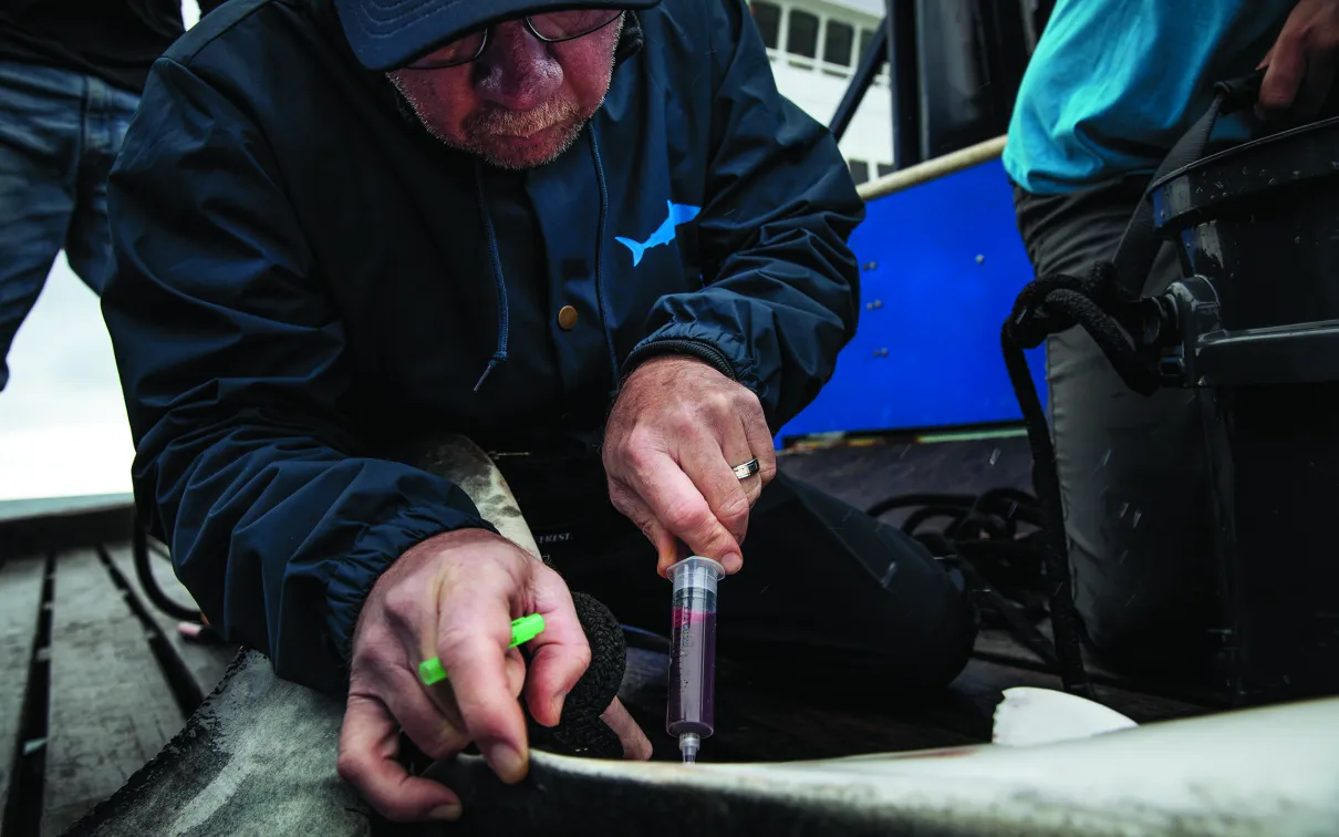 Man wearing glasses and a blue jacket crouched down holding a small container and a syringe.